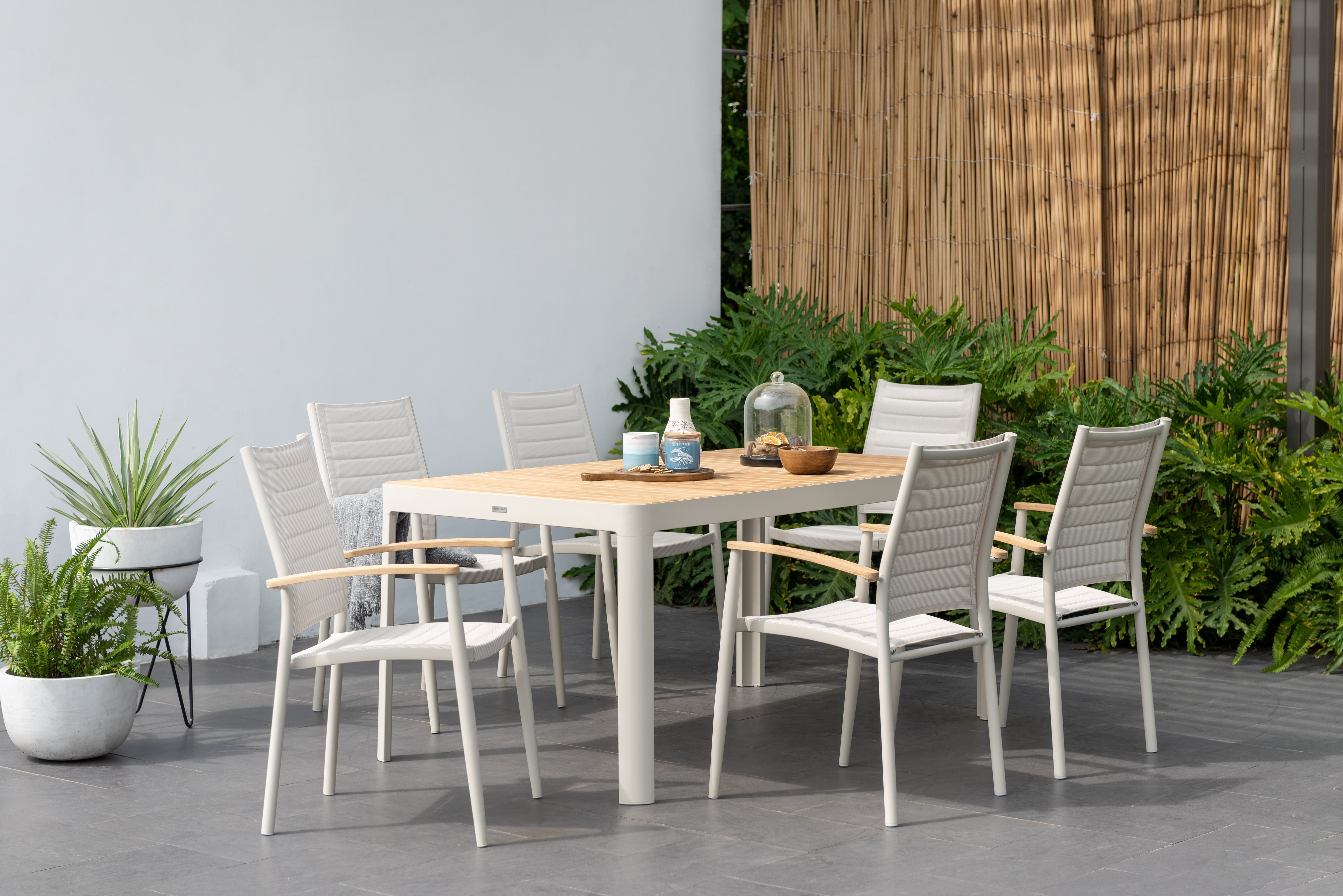 Portals-Lite Dining Setting